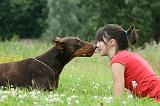 ENFANT ET CHIEN 424